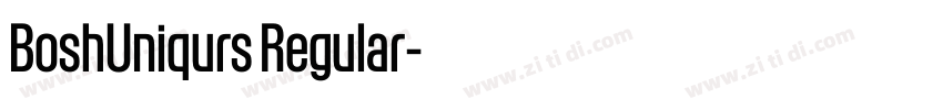 BoshUniqurs Regular字体转换 BoshUniqurs Regular字体转换